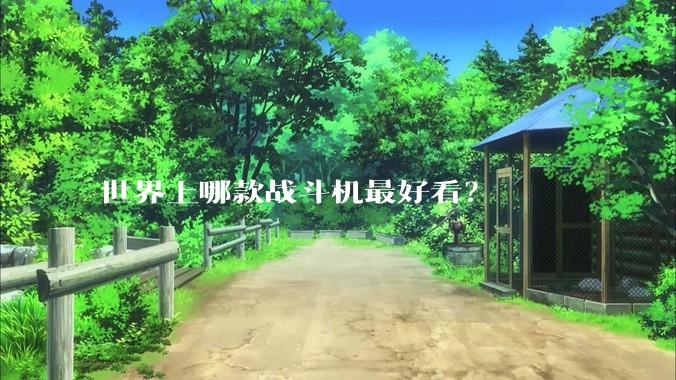 世界上哪款战斗机最好看？